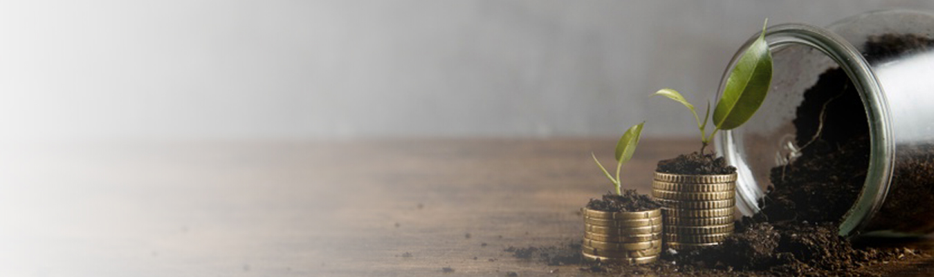 Quantum Liquid Fund